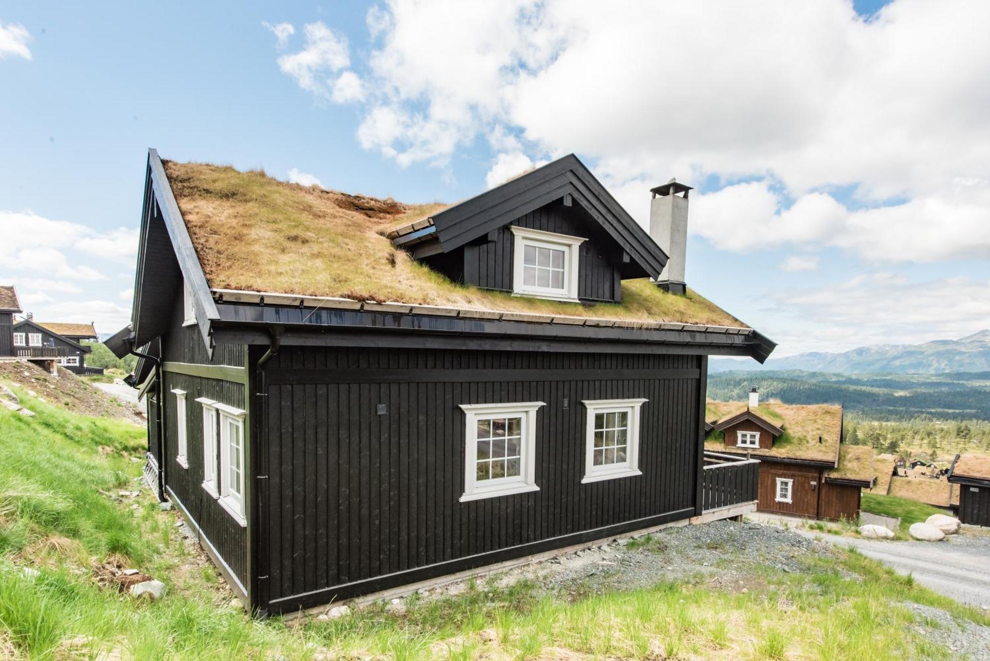 Rauland Feriesenter Villa Ruang foto