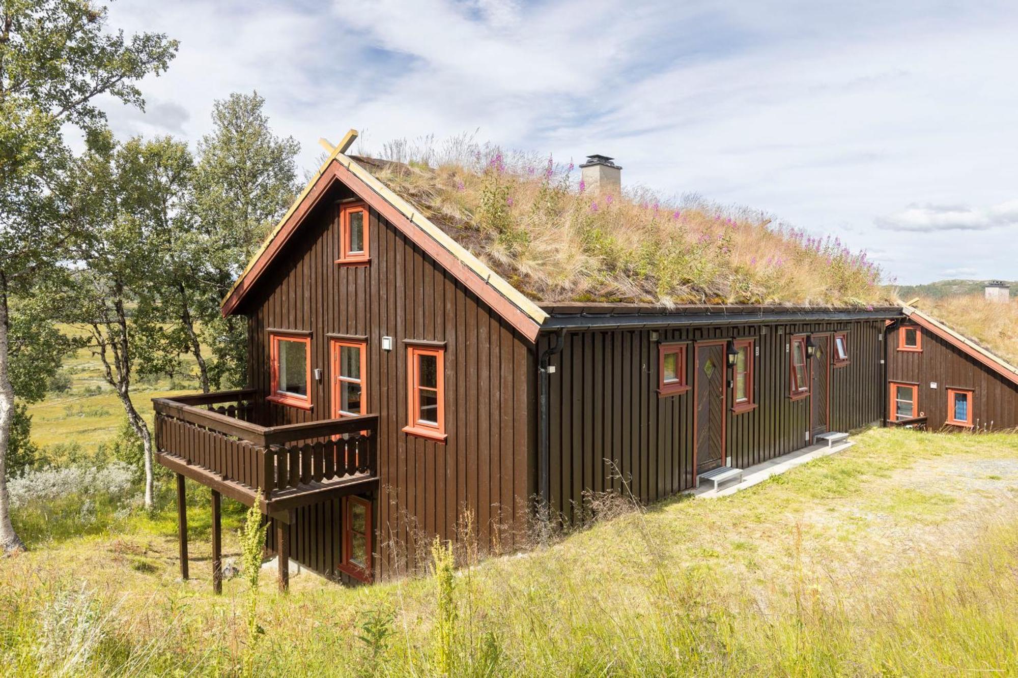 Rauland Feriesenter Villa Ruang foto