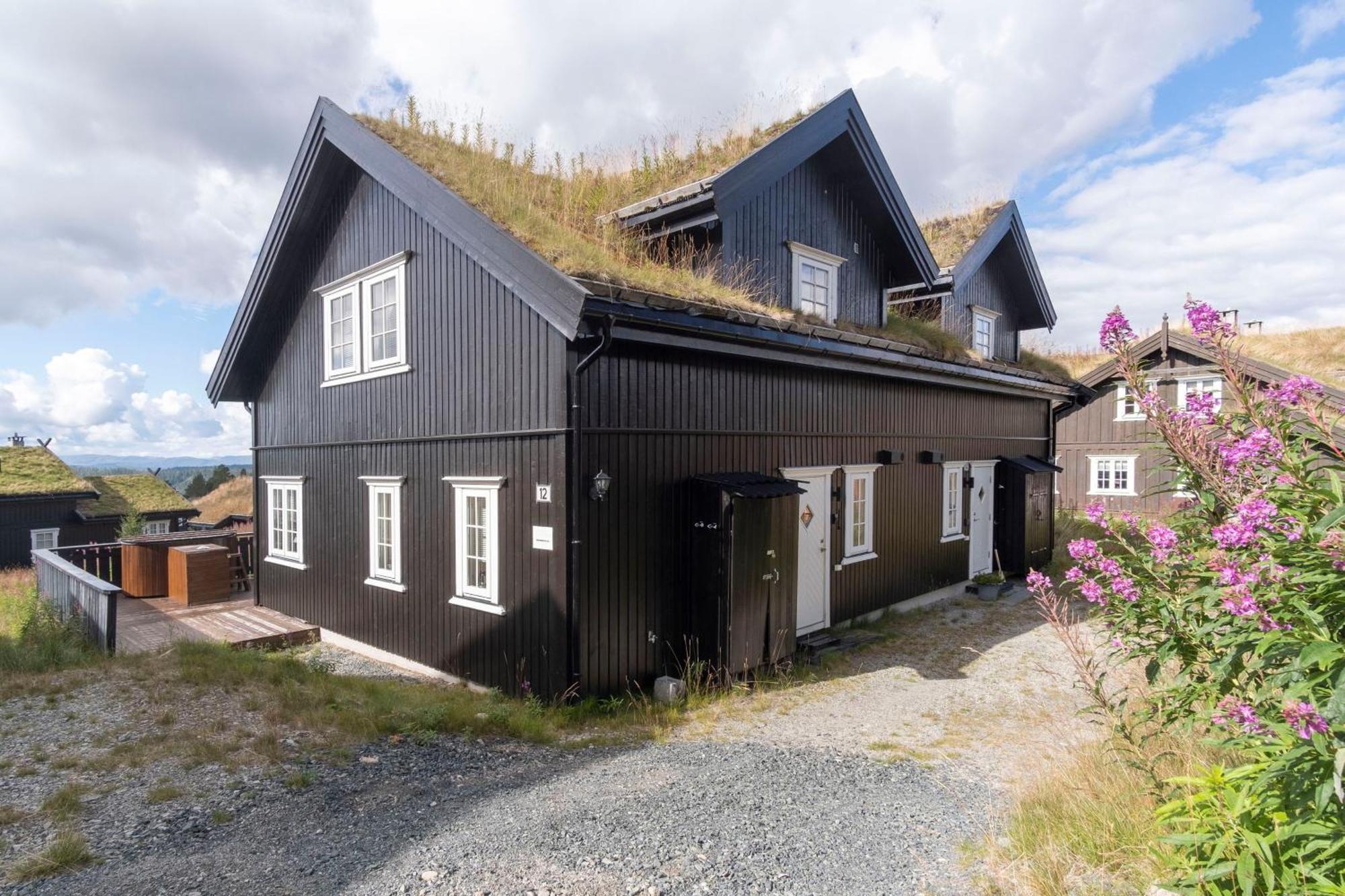 Rauland Feriesenter Villa Ruang foto