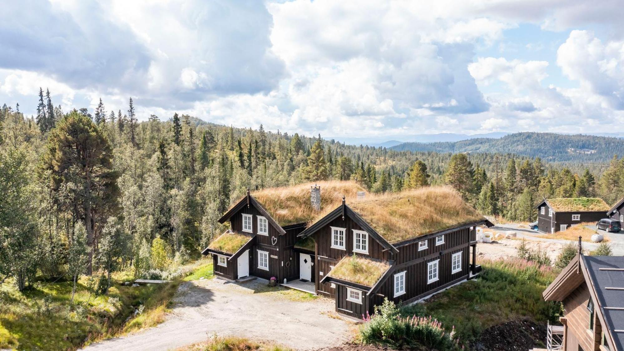 Rauland Feriesenter Villa Ruang foto