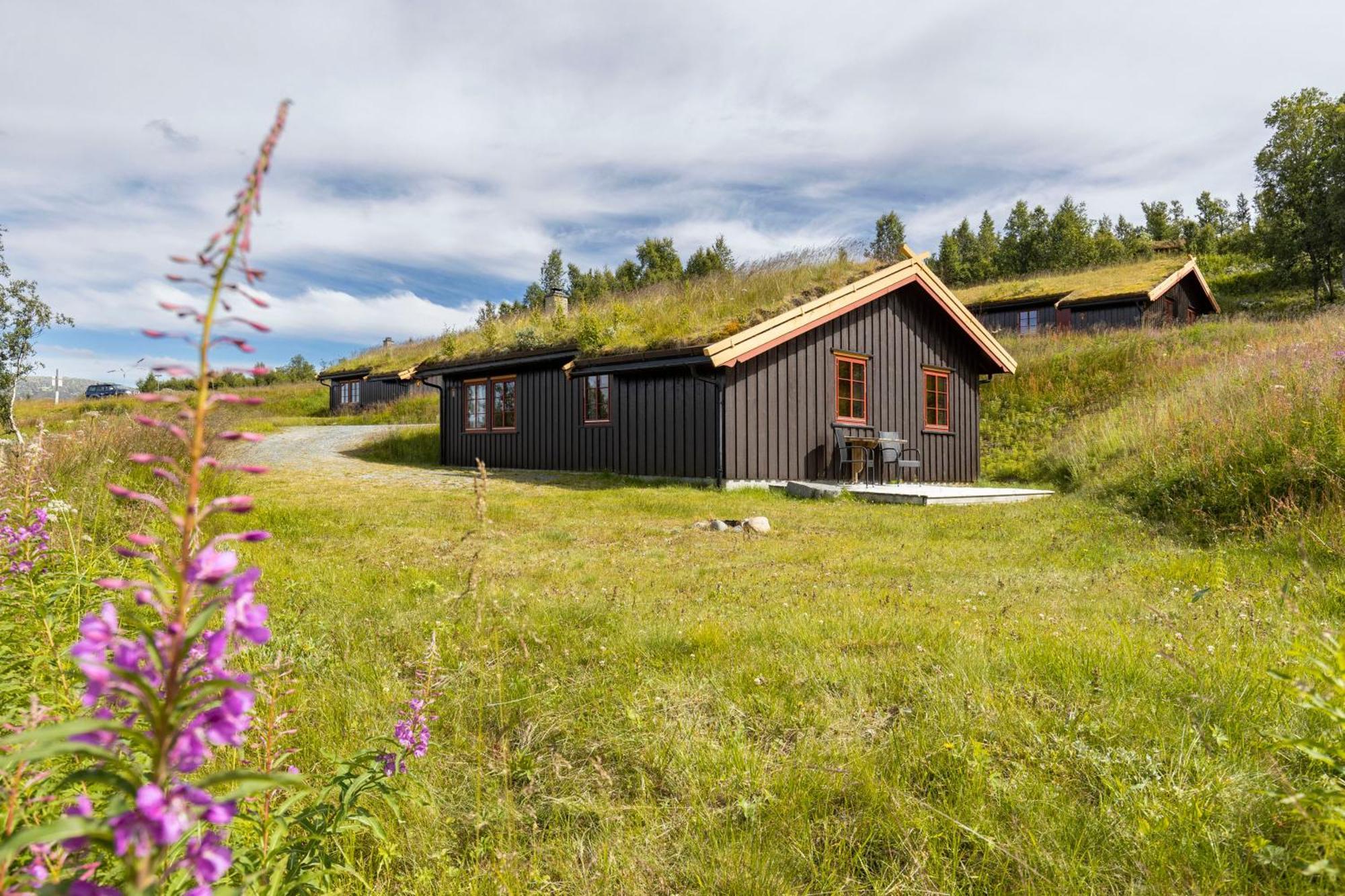 Rauland Feriesenter Villa Ruang foto